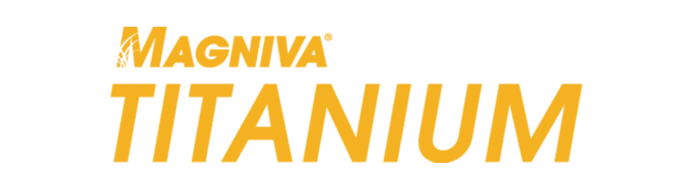 magniva titanium logo.png