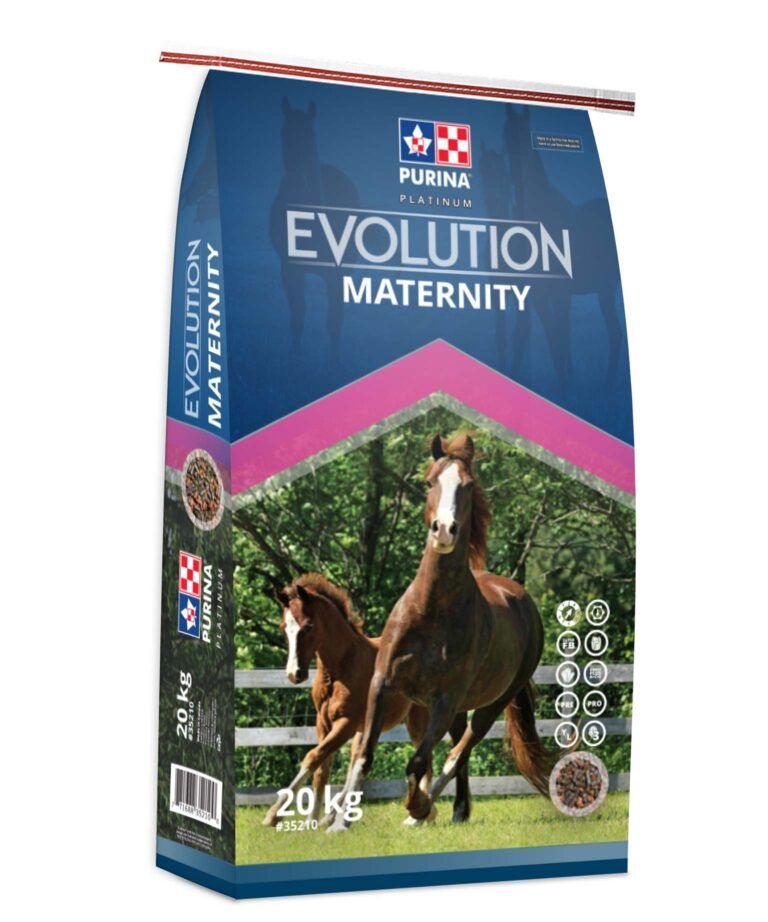 Purina Maternity.jpg