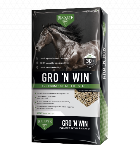 4101 Gro n Win.png