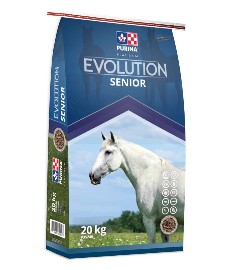 Purina senior.jpg