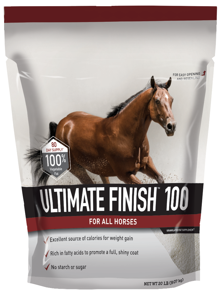 4107 Ultimate Finish 100.png
