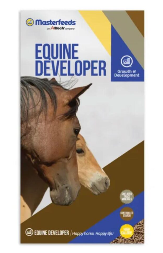 4187 Developer.png